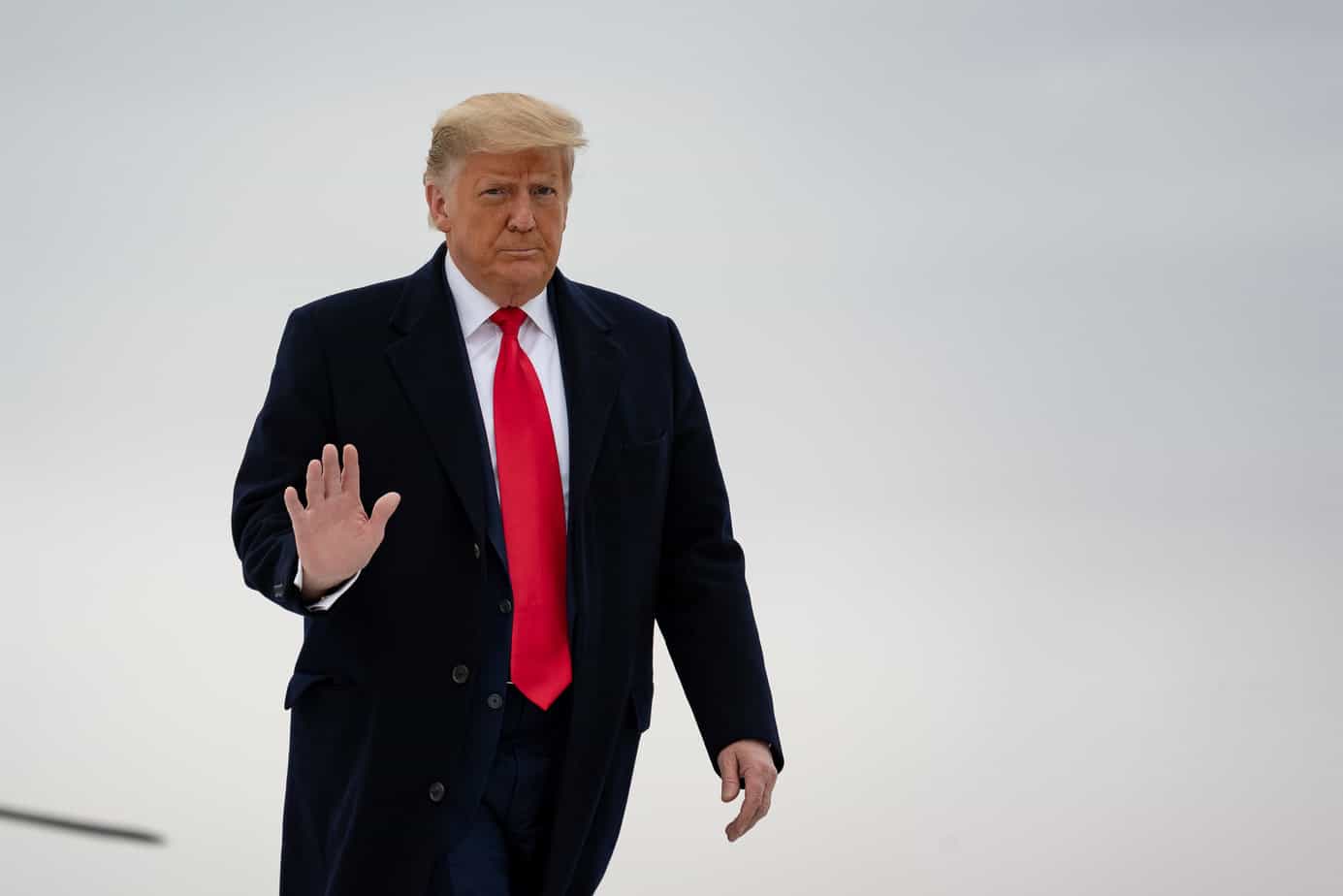 Trump comeback? ‘In 4 years a Republican President will make a triumphant return to the White House’